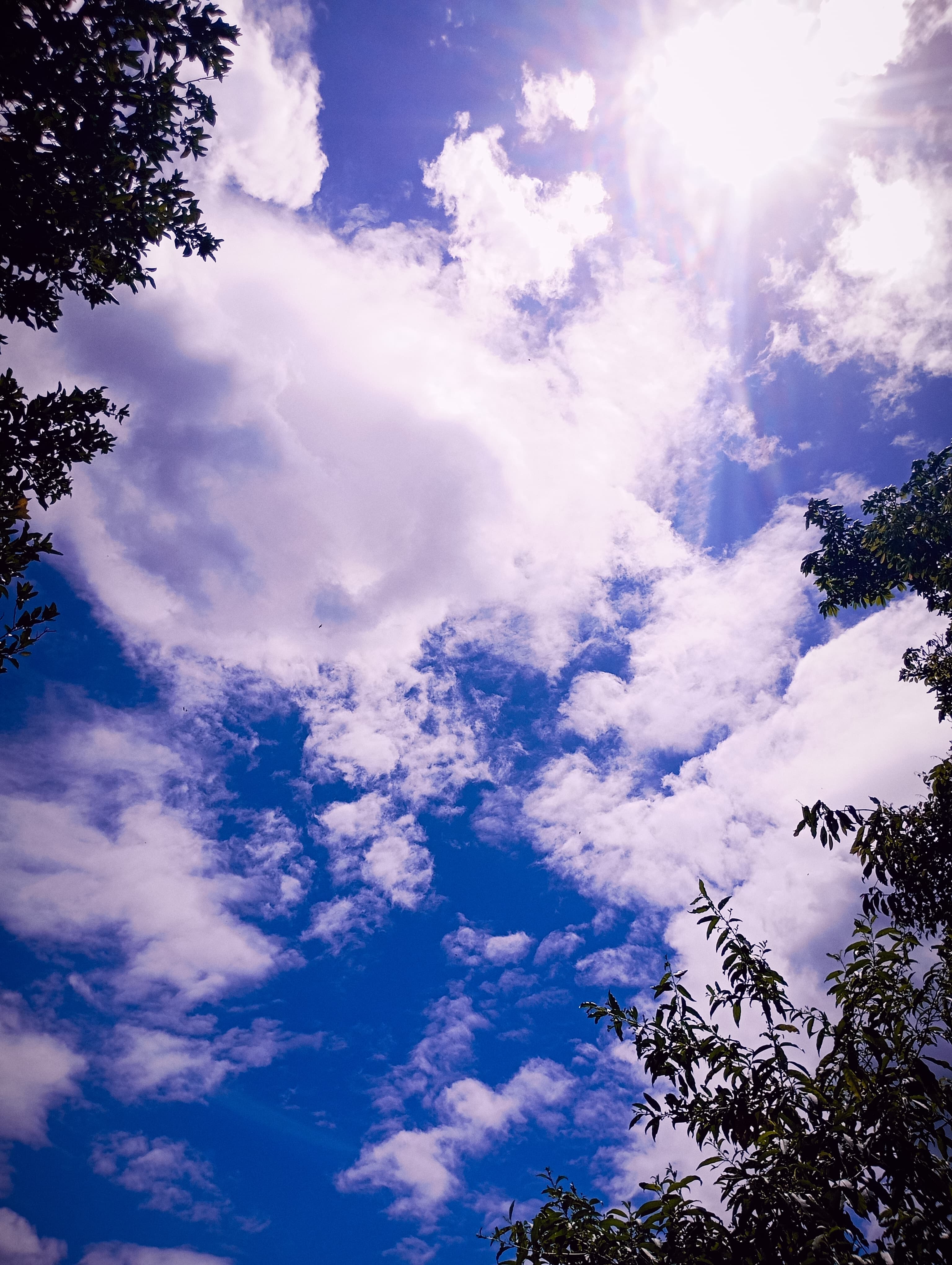 Carolina Ferreira – Fotógrafa